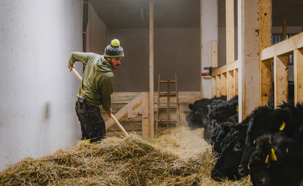 lahnerhof-goggi-maximilian010-2